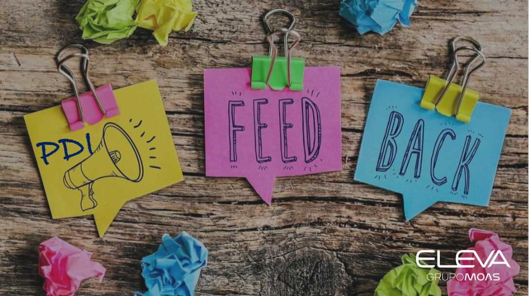 Treinamento Feedback e PDI
